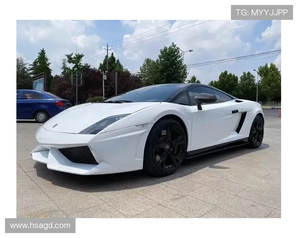 哈兰德豪车不断更新 每天一辆太阳报独家揭秘新购奥迪S8与兰博基尼亮相 哈兰德豪车不断更新 每天一辆太阳报独家揭秘新购奥迪S8与兰博基尼亮相